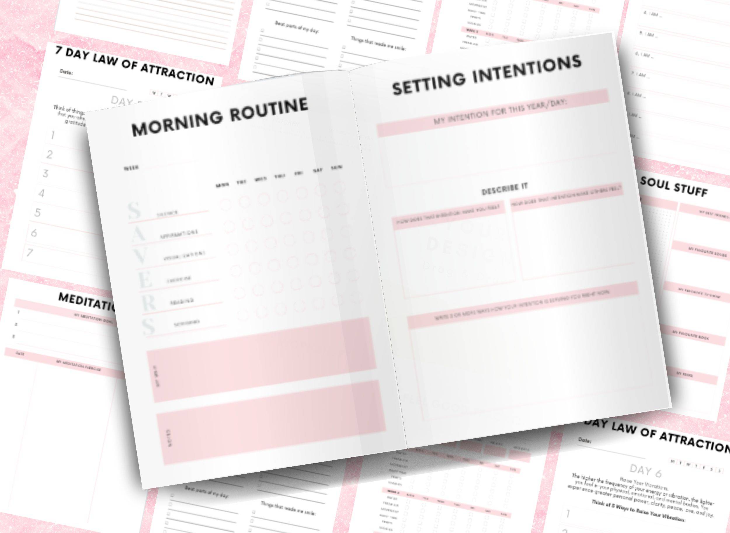 interior pages of law of attraction planner/journal
