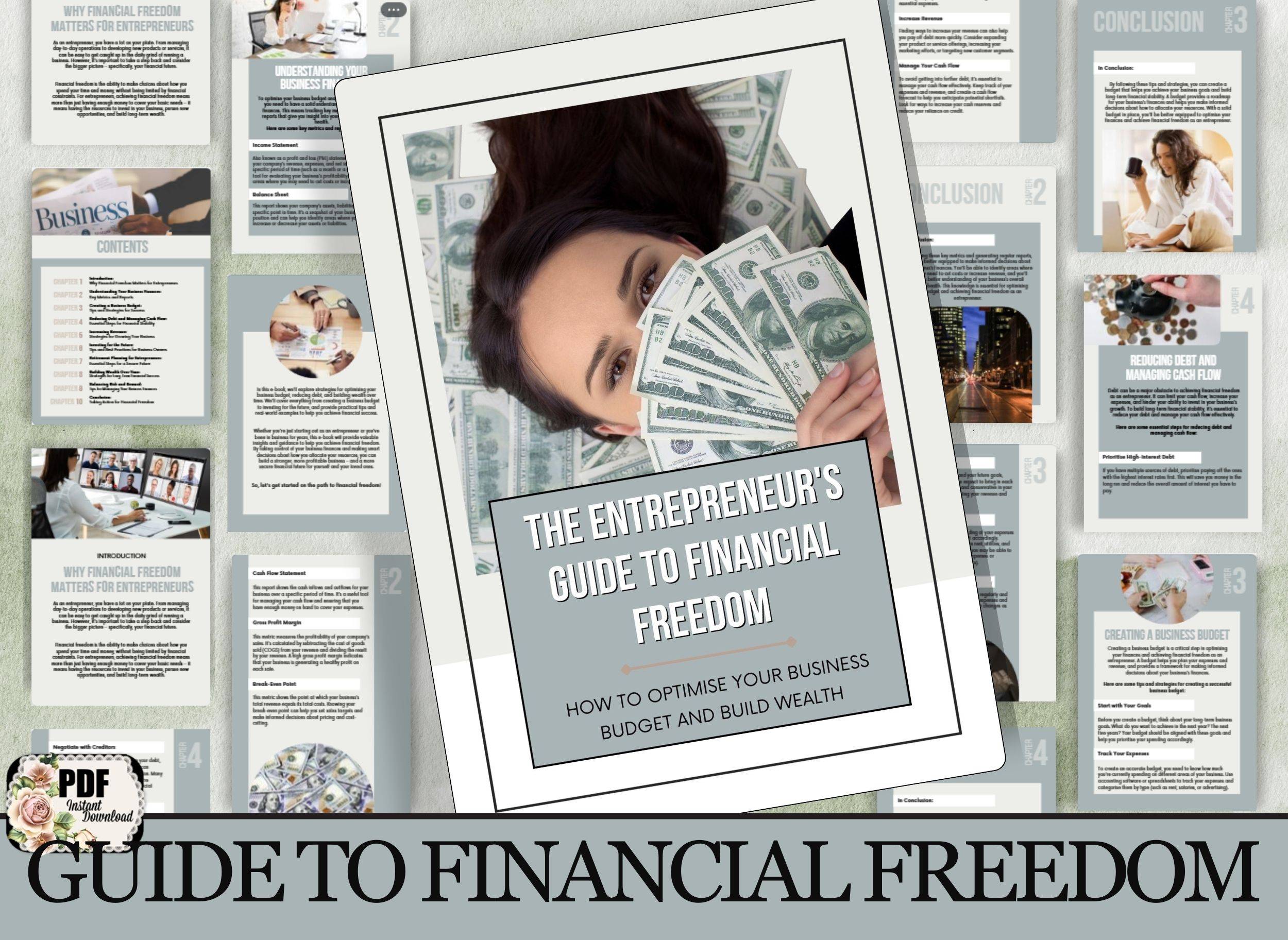 Entrepreneur's Guide To Financial Freedom