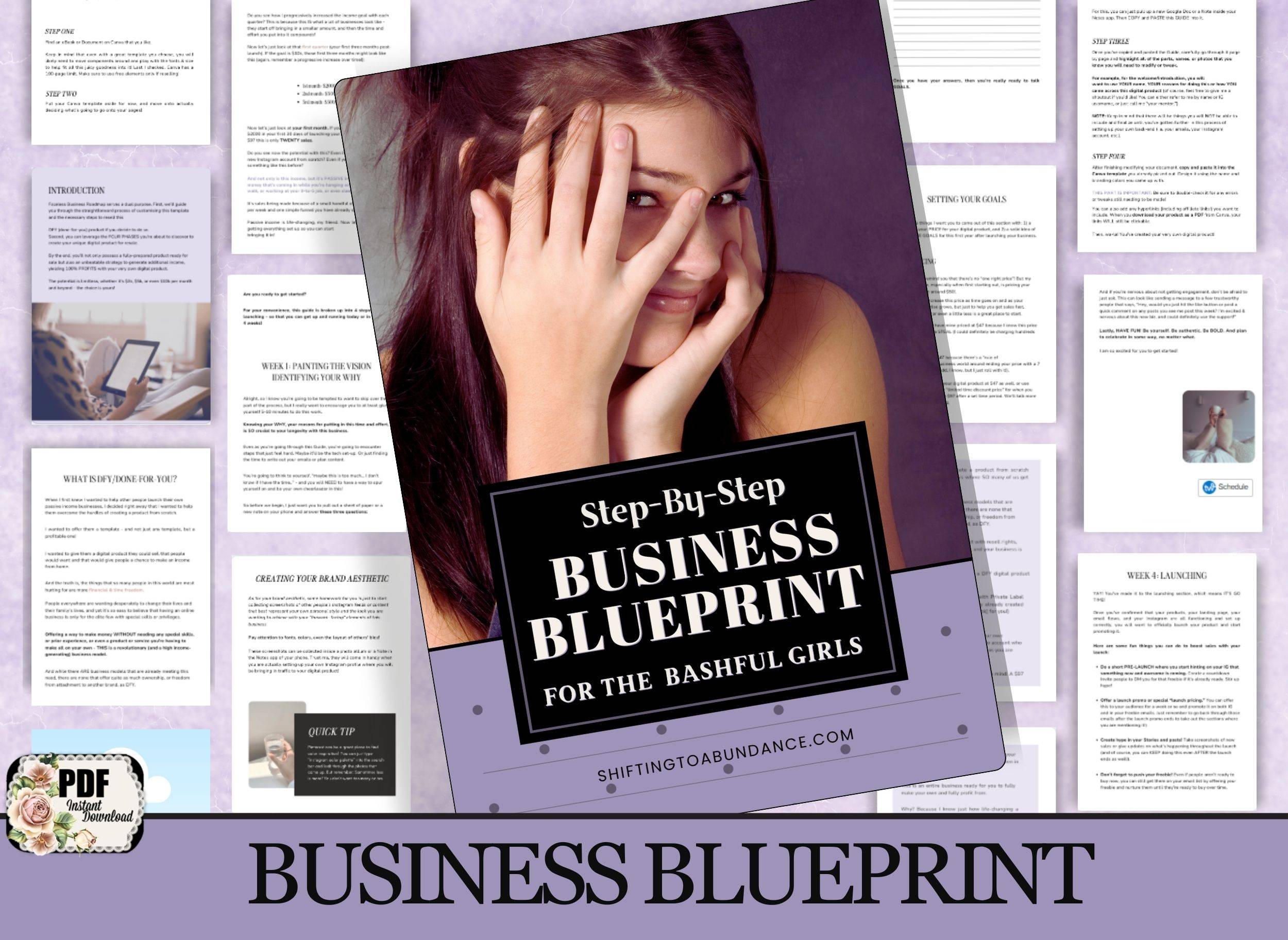 Business Blueprint for the Bashful Girls